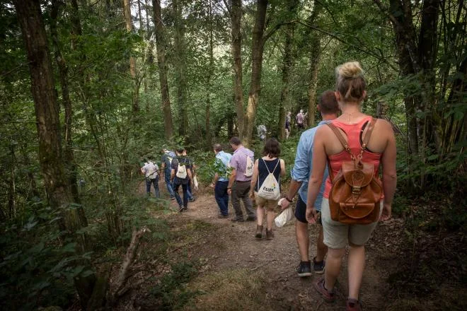 leader