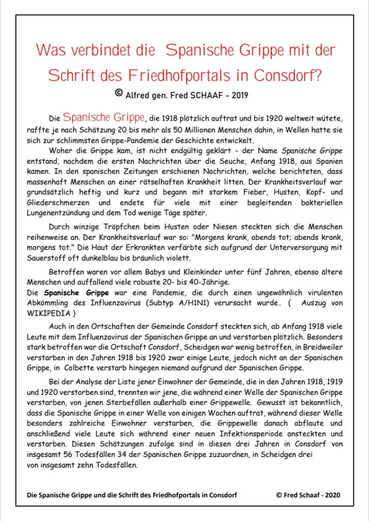 Cover Artikel Spanische Grippe