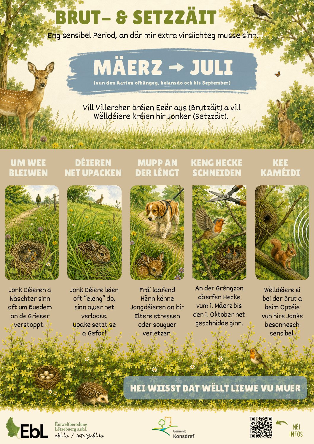EBL Infografik - Reproduktioun Déierewelt