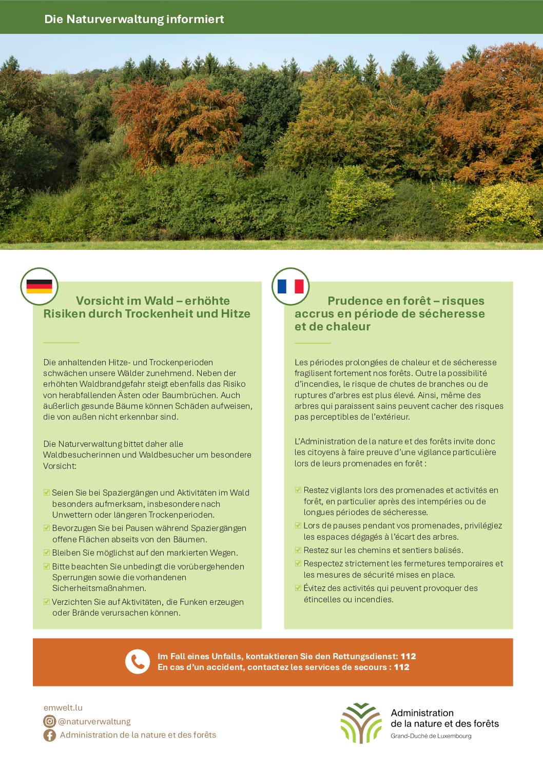 2026-trockenheit-wald-article